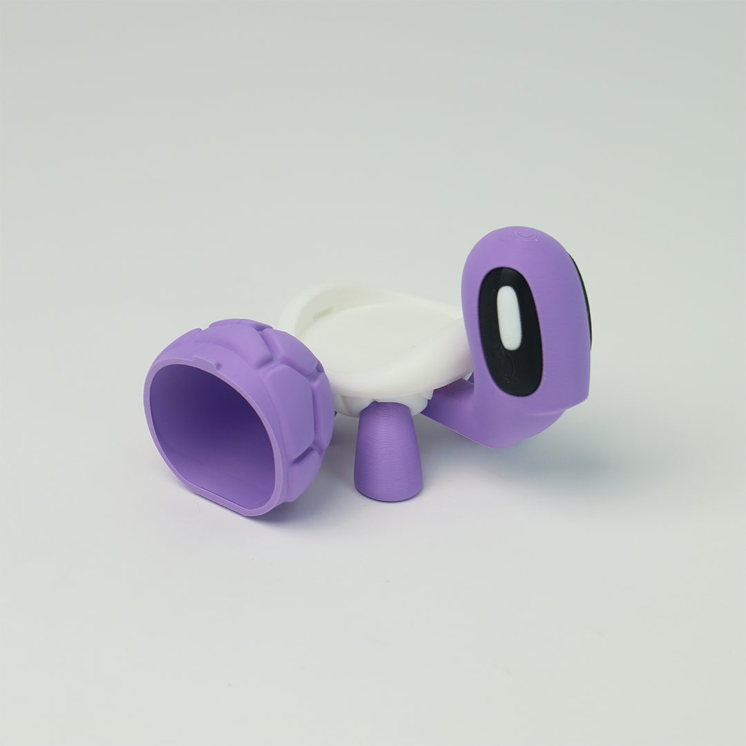 Turtle 3D Printed Fidget Toys - Baby