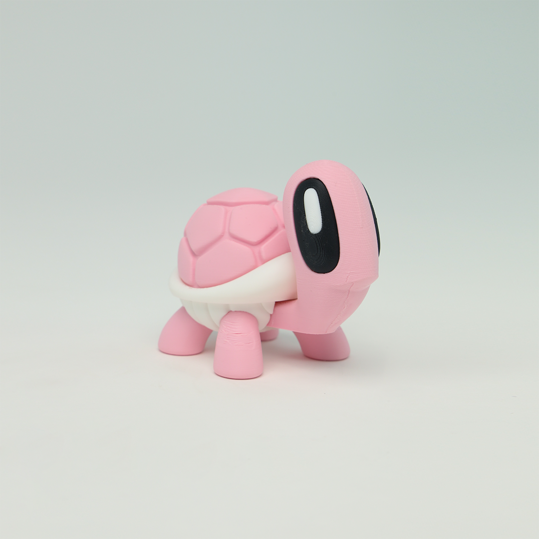 Turtle 3D Printed Fidget Toys - Baby