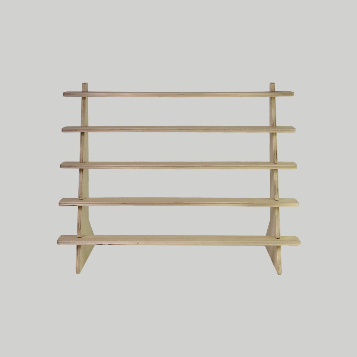 Earring Shelf