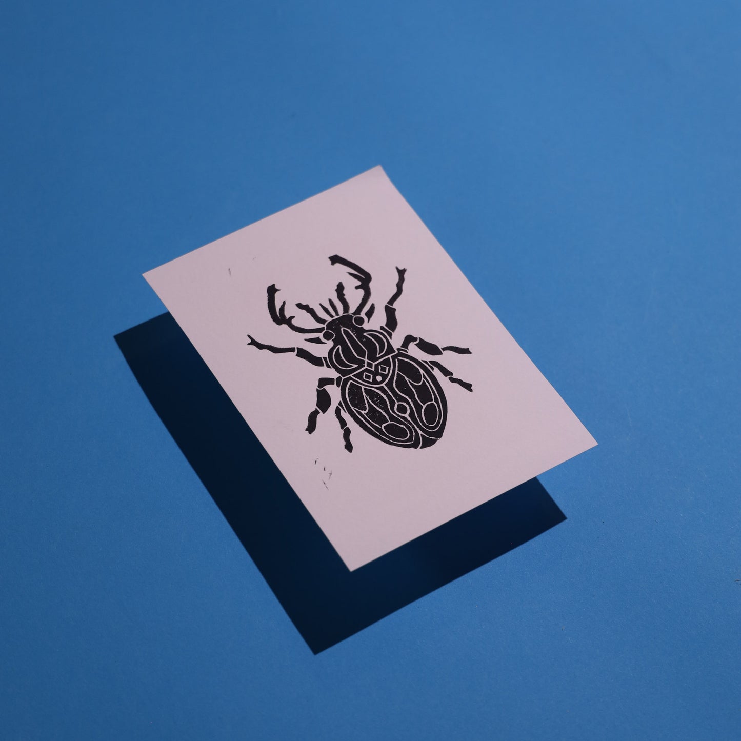 Beetle - Lino Block Prints 5x7 in