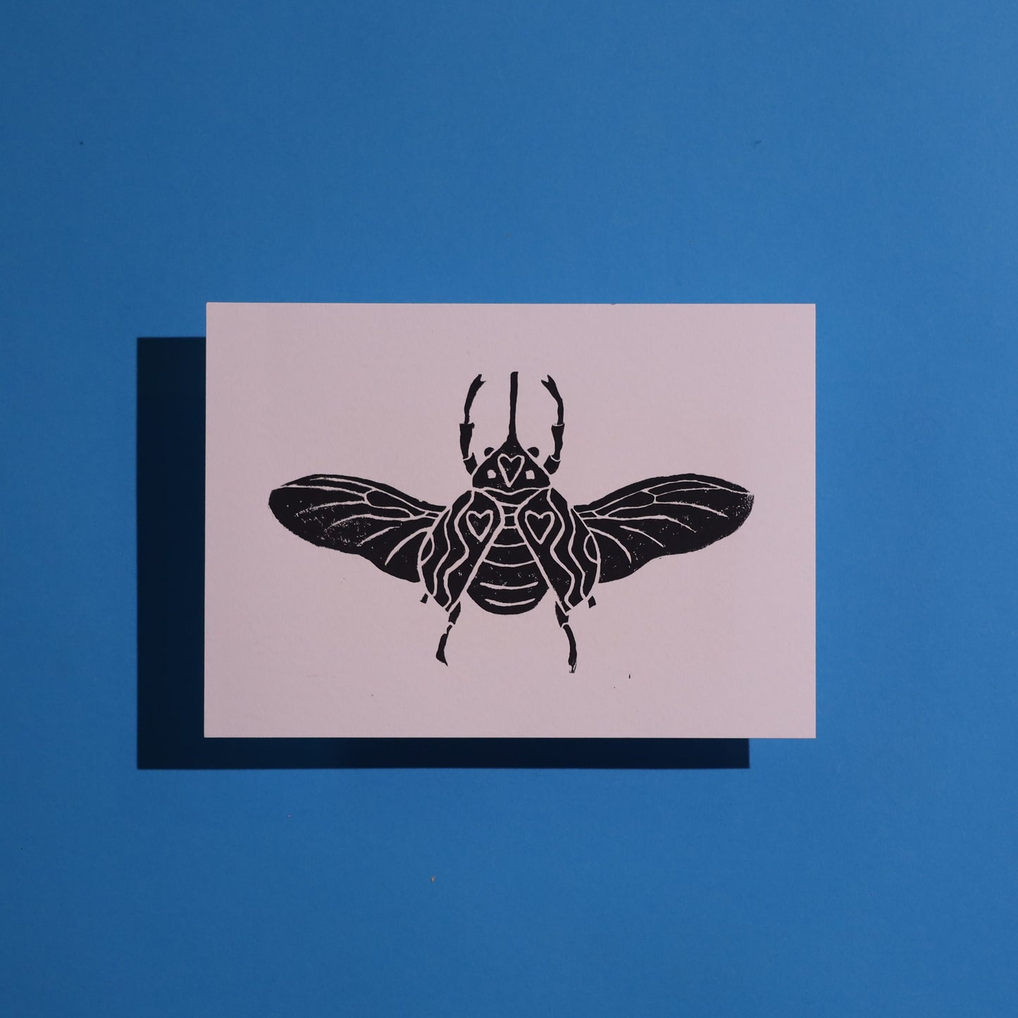 Beetle - Lino Block Prints 5x7 in