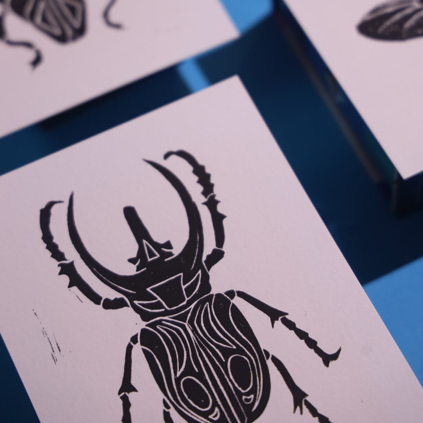 Beetle - Lino Block Prints 5x7 in
